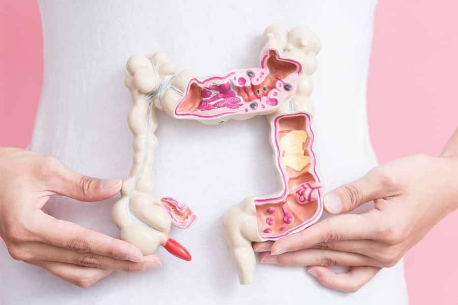 gastro_landing-page_900x600_10-2022