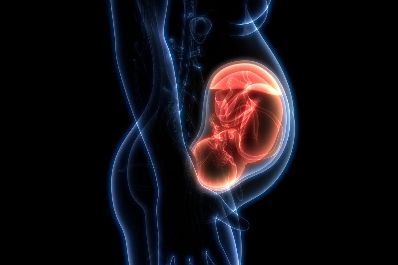 baby position in womb