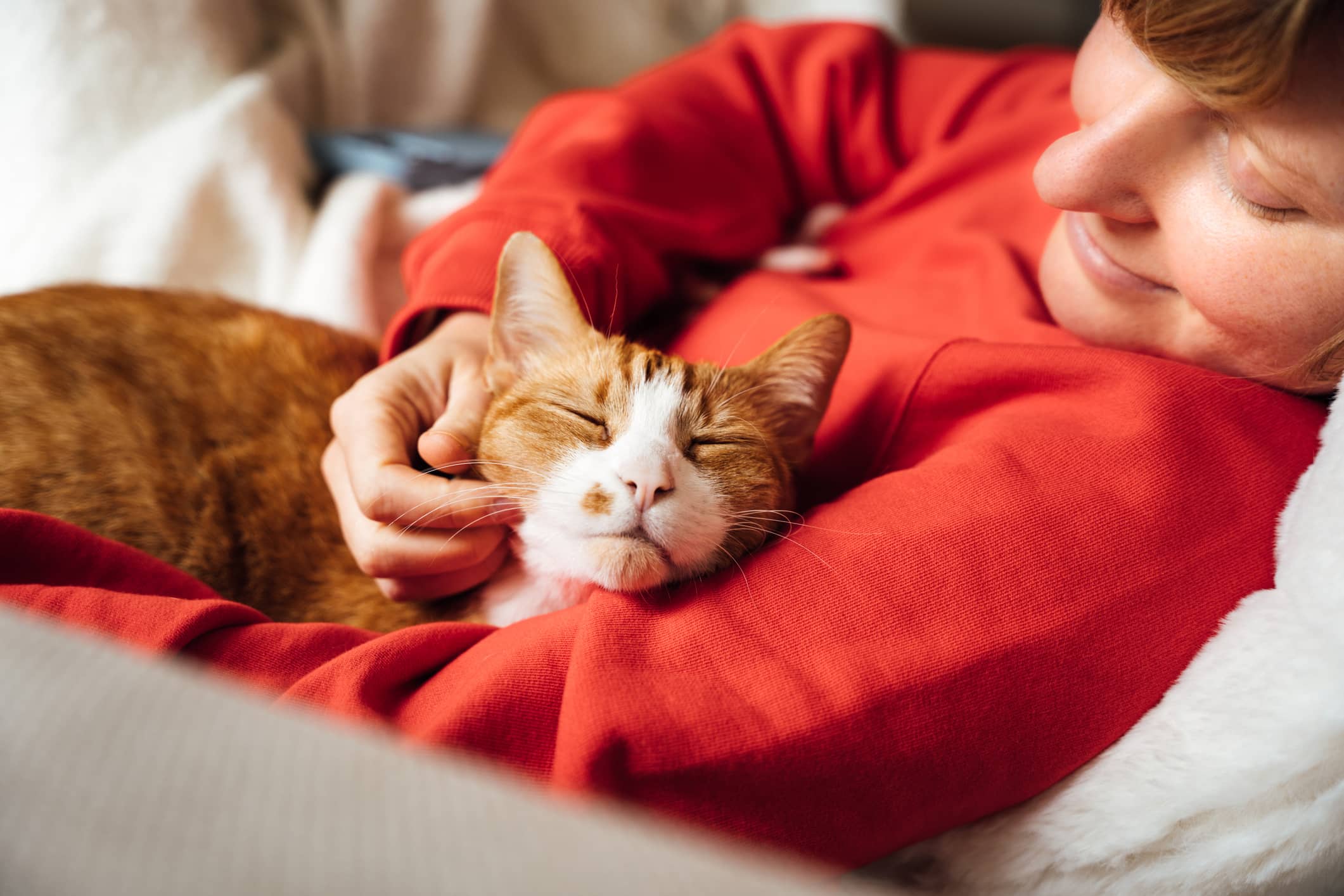 Lady Petting a Cat on a Couch