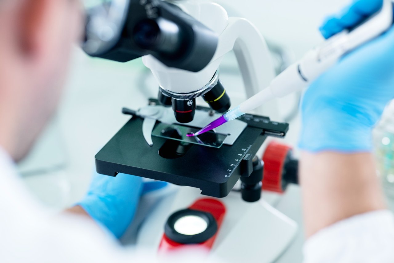 Pipette adding dye to slide under microscope