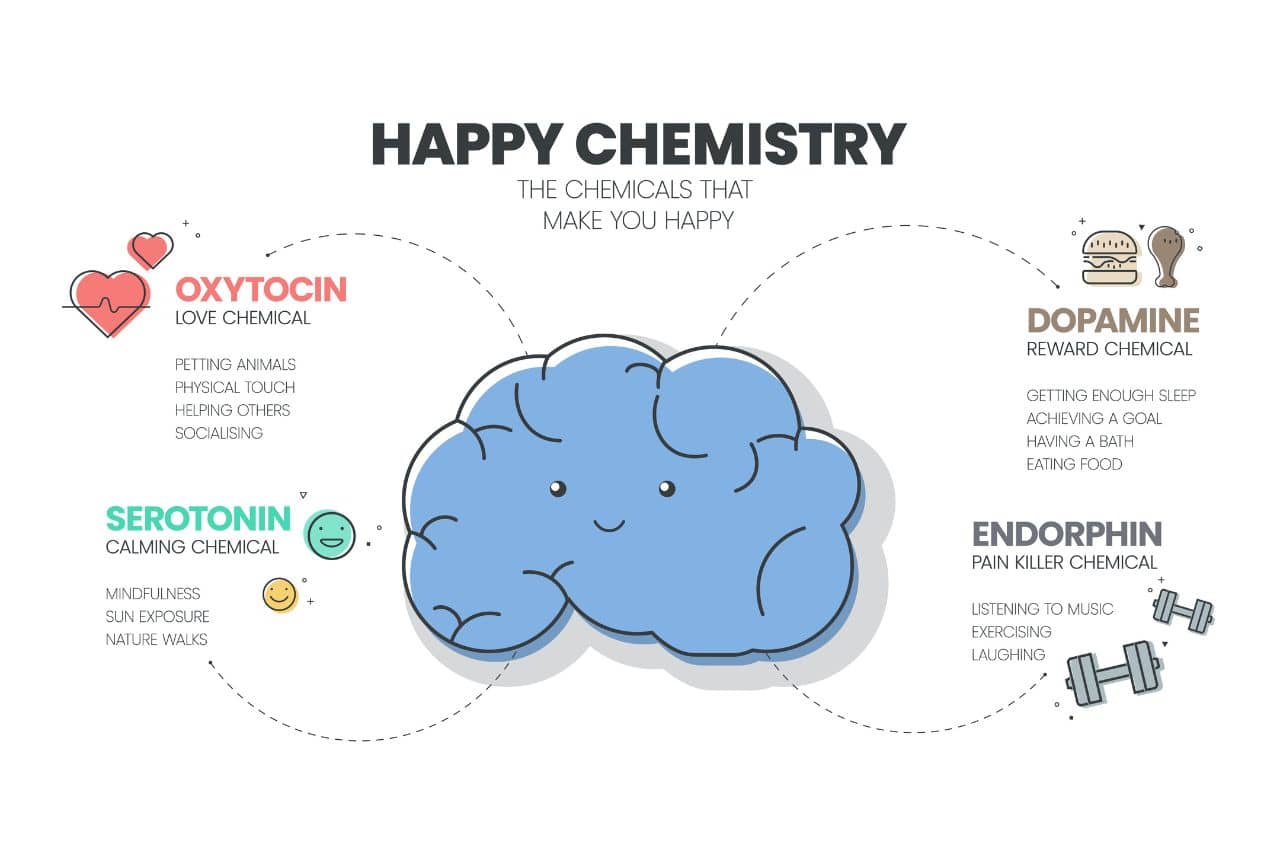 Diagram of brain chemistry