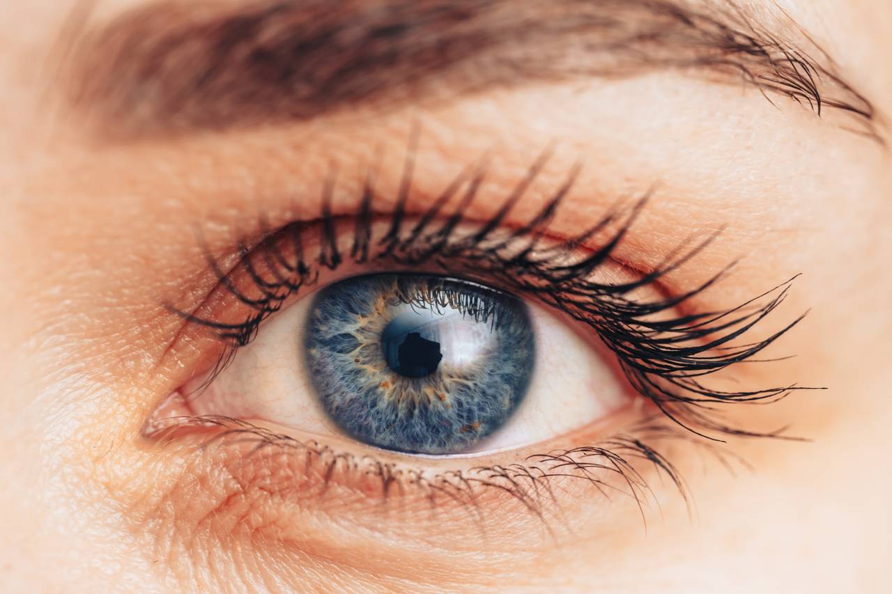 Close up of a blue eye