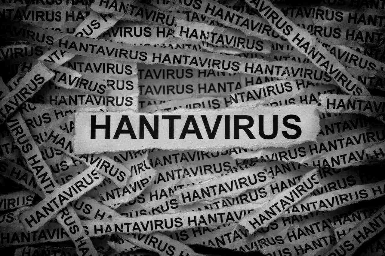 Hantavirus written on slips of paper