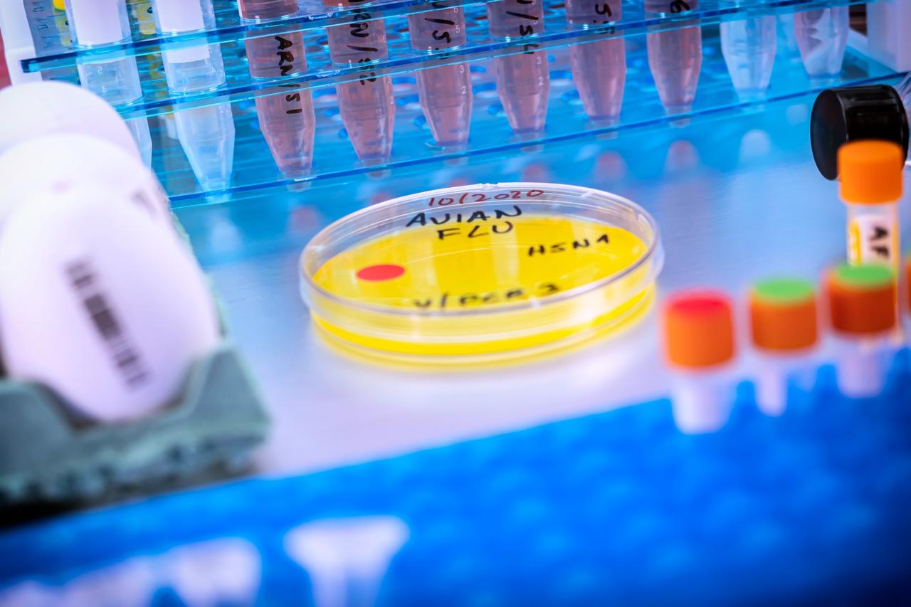 Lab with vials