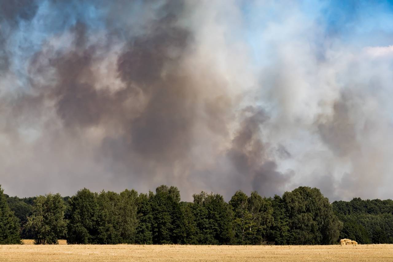 wildfire smoke