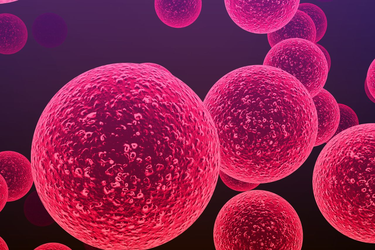 staph infection bacteria