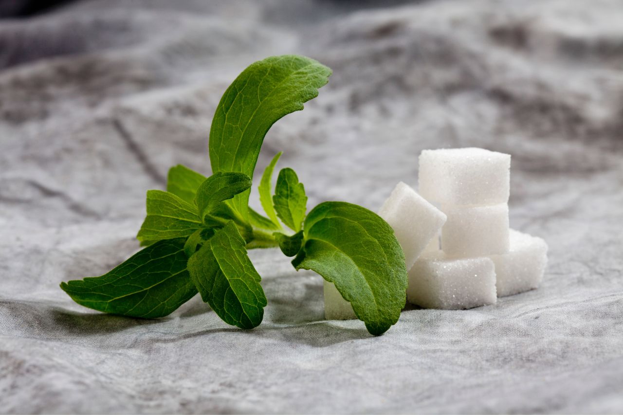 What is Stevia?