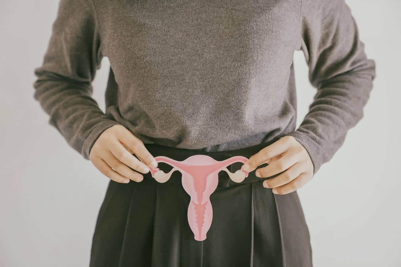 A woman holding a paper model of female anatomy in front of her abdomen