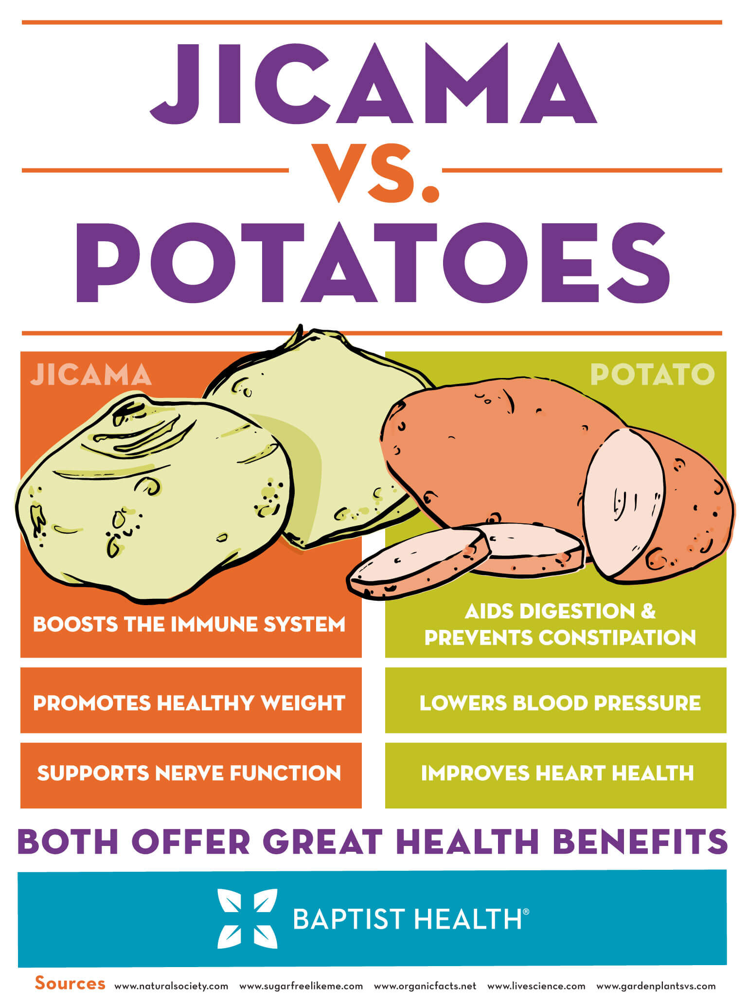 Jicama-Infographic