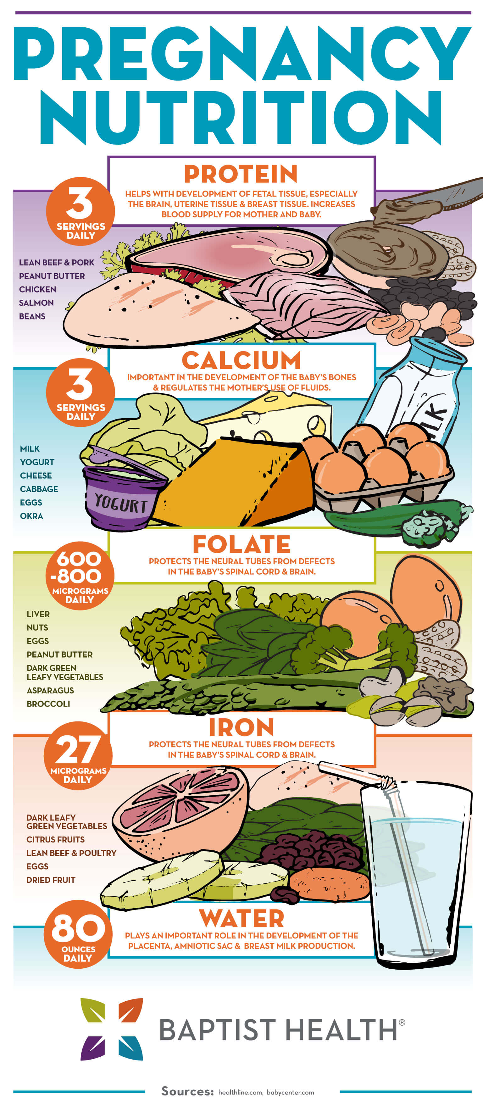 Prenatal Nutrition During Pregnancy (Infographic) - Baptist Health