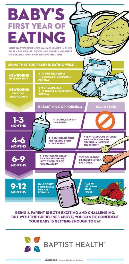 Baby feeding chart for the first year.