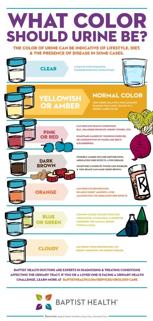 What Color Should Urine - Baptist Health