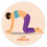 cat stretch