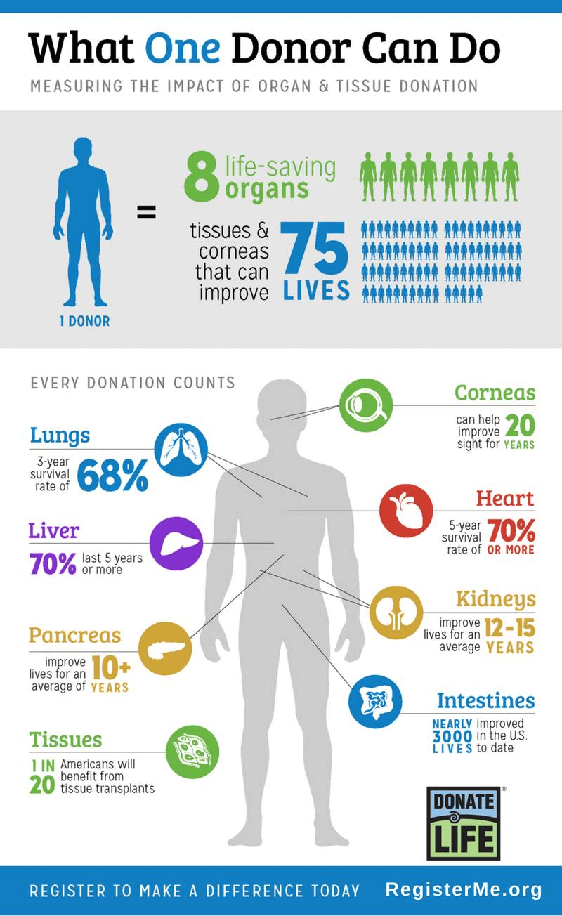 organ donor infographic