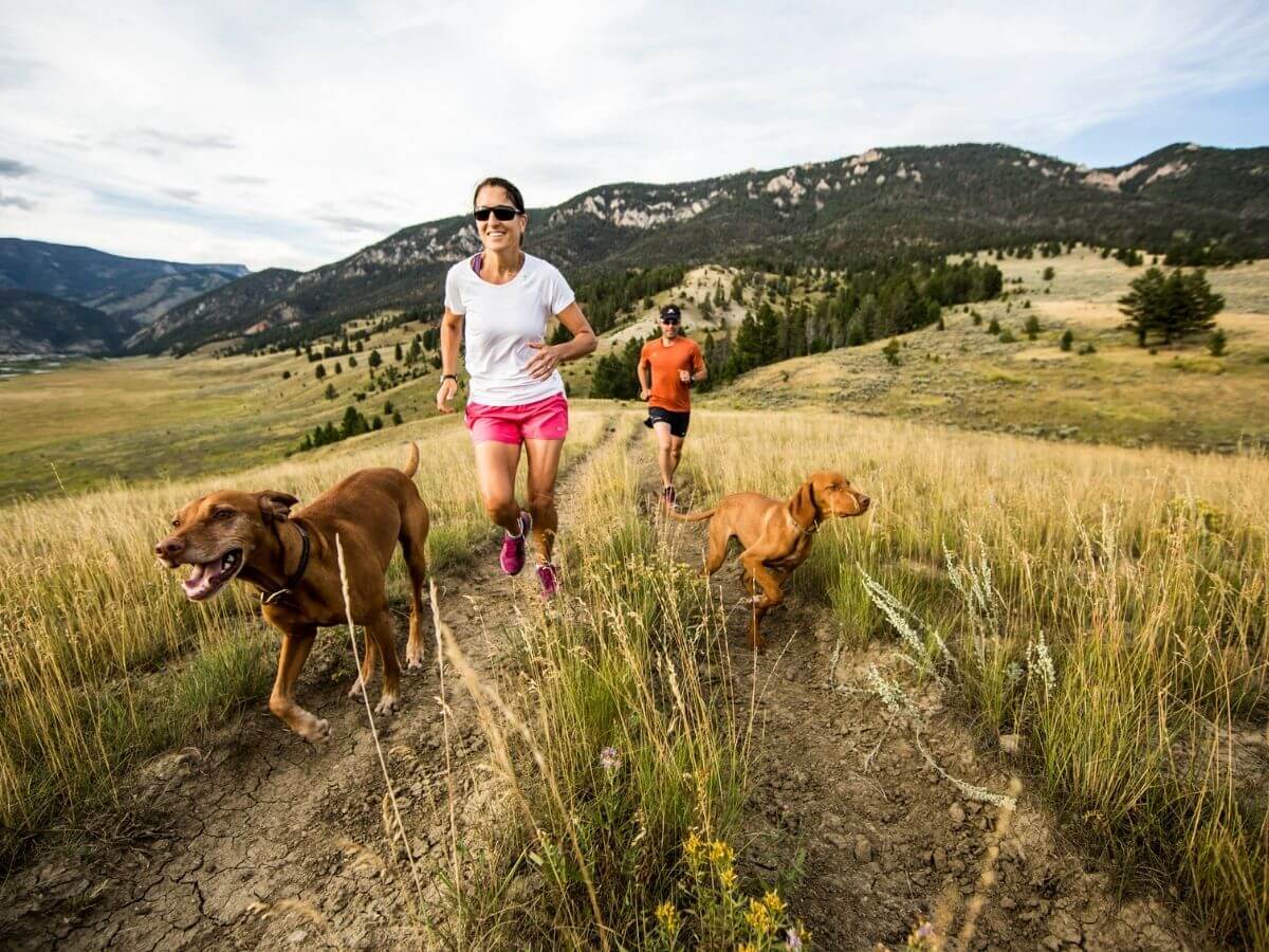 Middle aged couple hiking outside with their two dogs