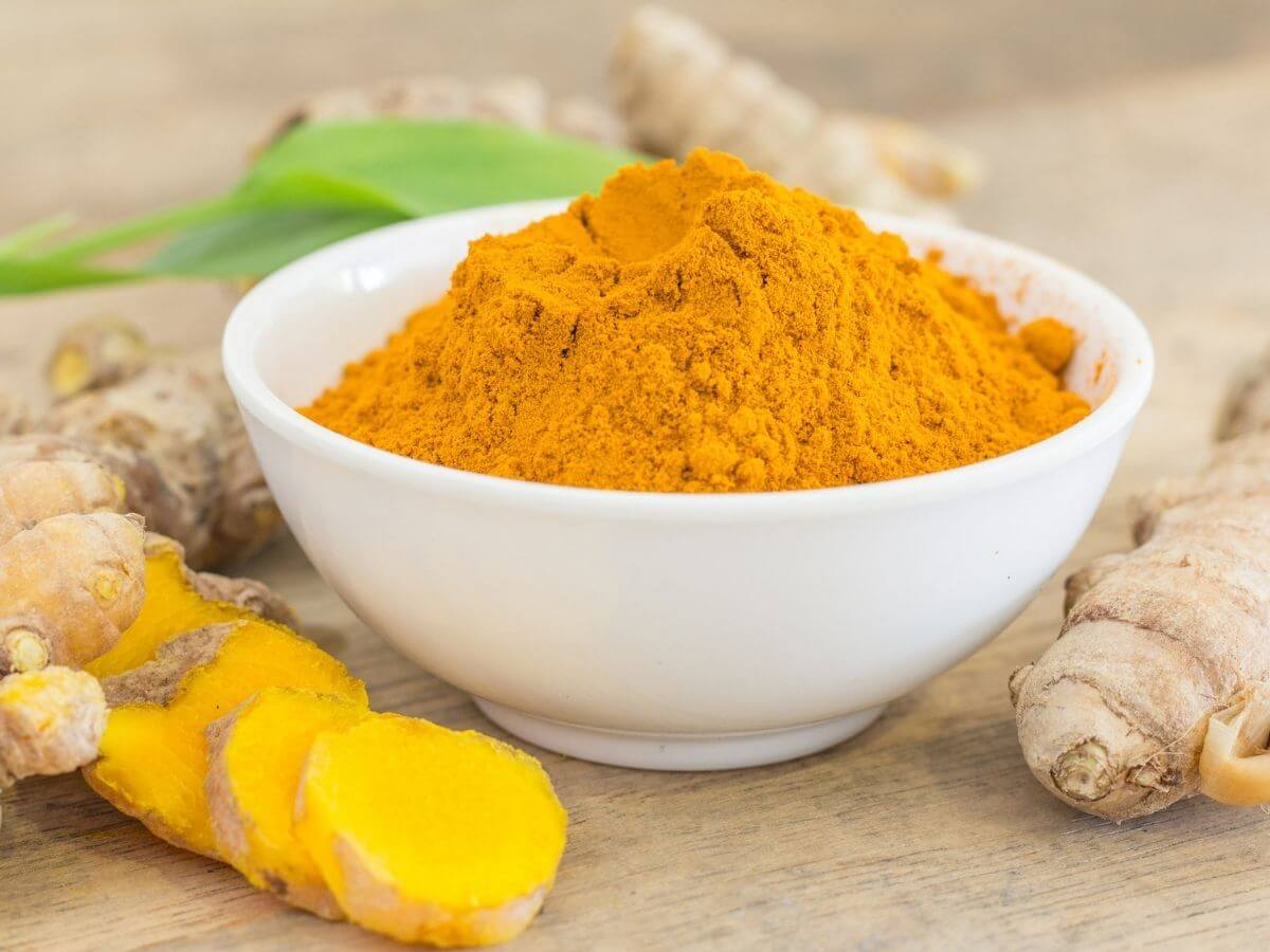 Close up bowl of ground turmeric and pieces of ginger.