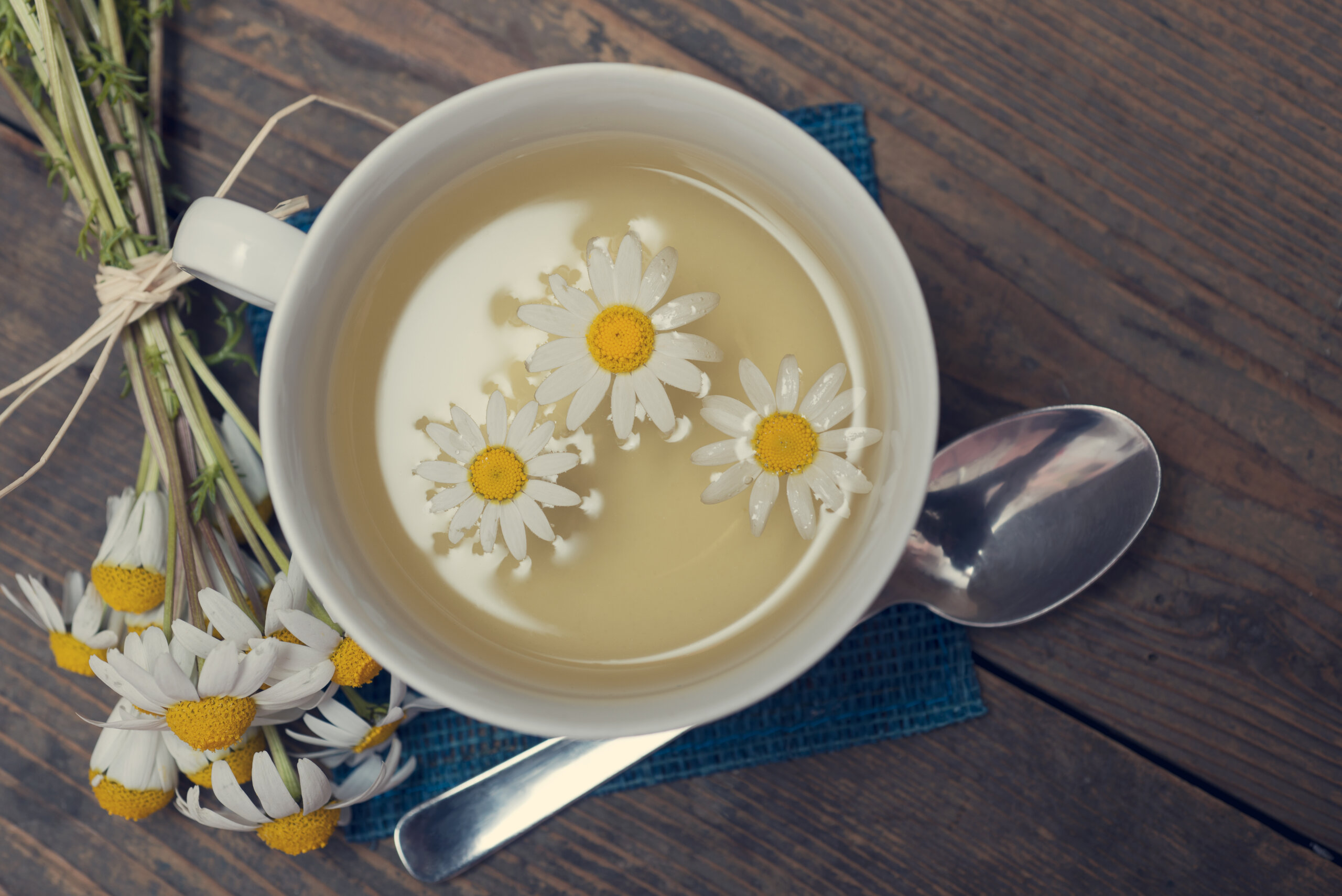 chamomile for anxiety