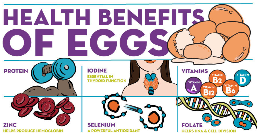 Health Benefits of Eggs - Baptist Health