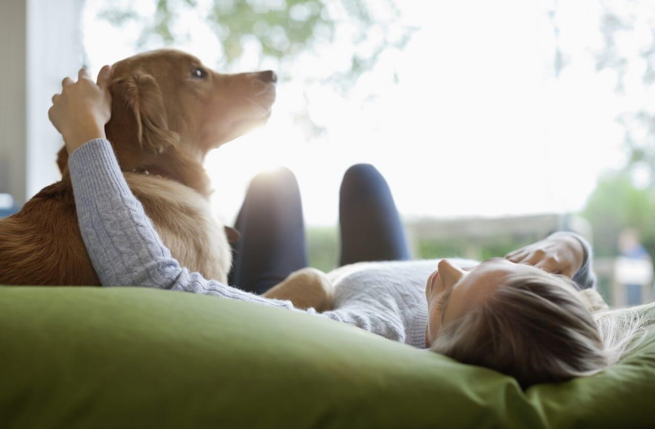 Effects of Pets on Mental Health