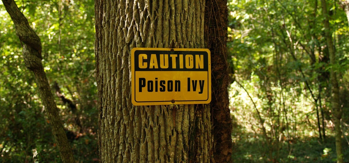 Poison Ivy Treatment