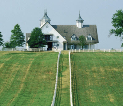 Lexington horse farm